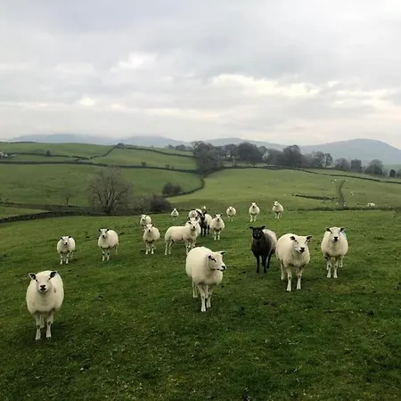 Apartman The Paddocks Pod Selside - 'twig' Pet Friendly *