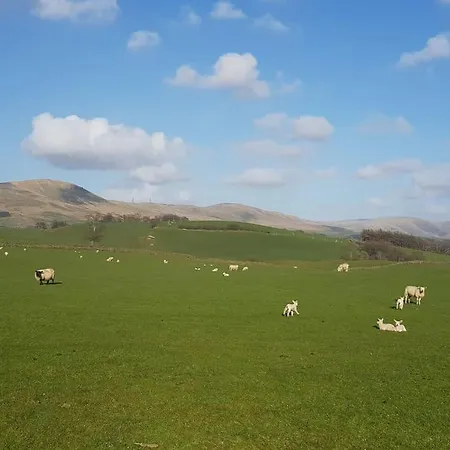 The Paddocks Pod Selside - 'twig' Pet Friendly